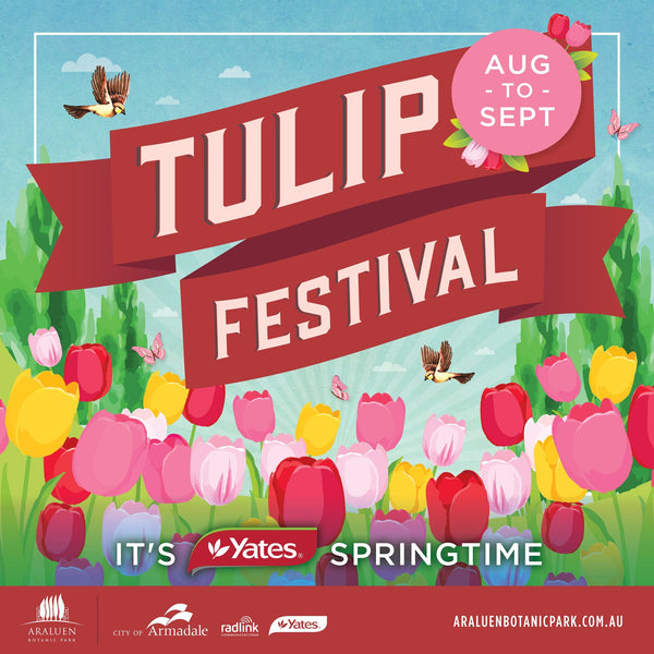 Tulip Festival