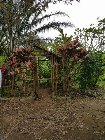 Bollywood Gardens