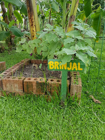 Bollywood Veggies