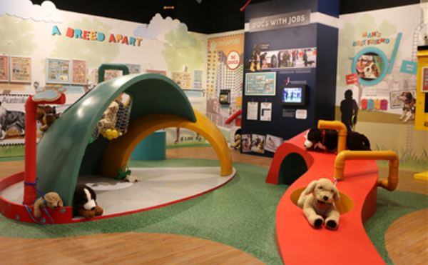 Things to do this Weekend: Learn All About Dogs with Your Little Ones @ Singapore Philatelic Museum!