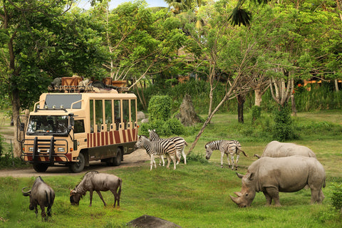 Bali Marine Safari Park, Bali