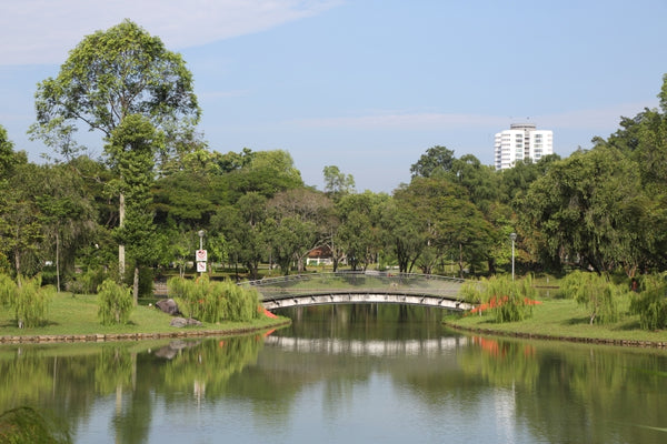 Bishan-Ang Mo Kio Park