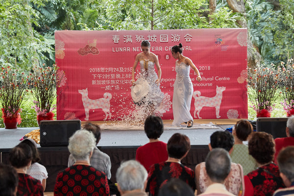 CNY Stage and Fringe Activities