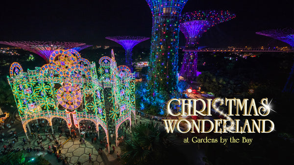 Step into Christmas Wonderland with Your Little Ones at Gardens by the Bay!