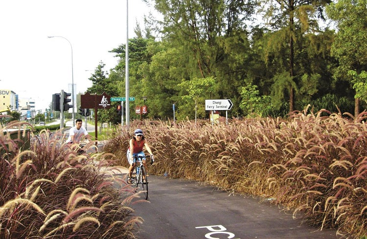 Eastern Coastal Loop