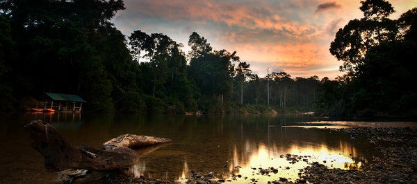 Endau-Rompin National Park – One of World’s Oldest Tropical Rainforest