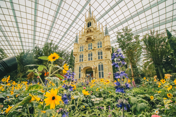 Gardens by the Bay - Re-opening