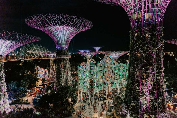 Escape to Winter Wonderland at Gardens by the Bay for this Christmas!
