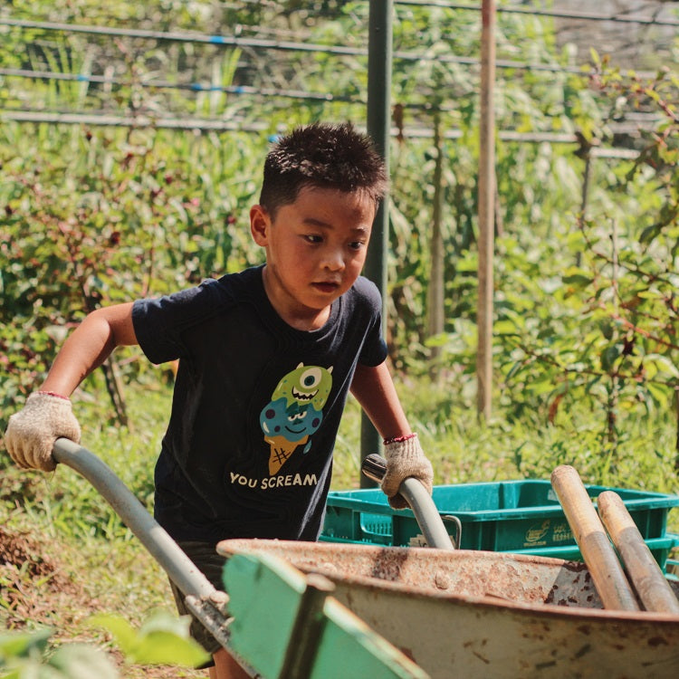 GUI Joy of Harvesting at Kampung Kampus