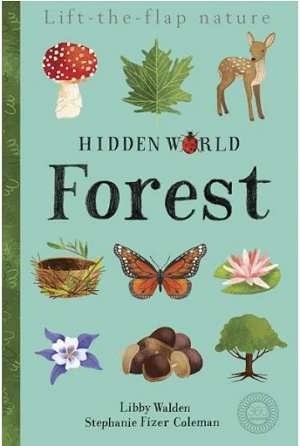 5 Best Picture Books for Toddlers - Hidden World - Forest