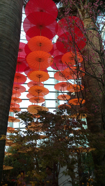 Things to do this Weekend: Step into the Land of Dahlia Dreams @ Gardens by the Bay with Your LOs!