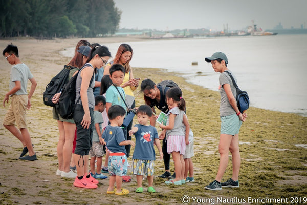 Young Nautilus Biodiversity Nature Walk