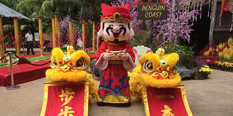 Things to do this Weekend: Join the Wildlife of Singapore with Your LOs in Celebrating this Chinese New Year! - JBP