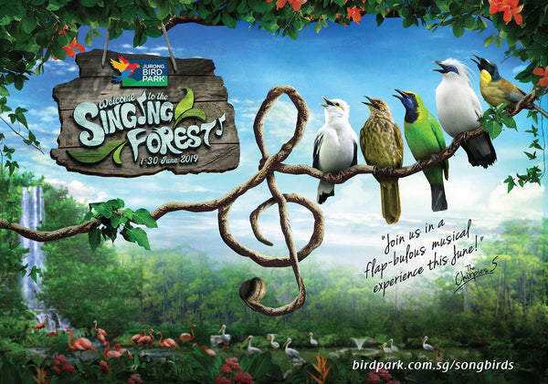 The Singing Forest at Jurong Bird Park