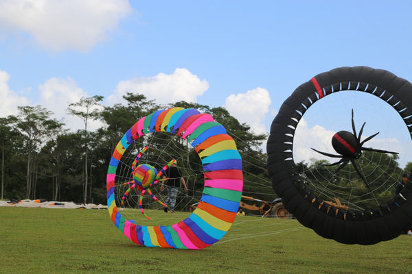 3 Annual International Festivals to Celebrate with Your Kids in Johor  - Johor International Kite Festival
