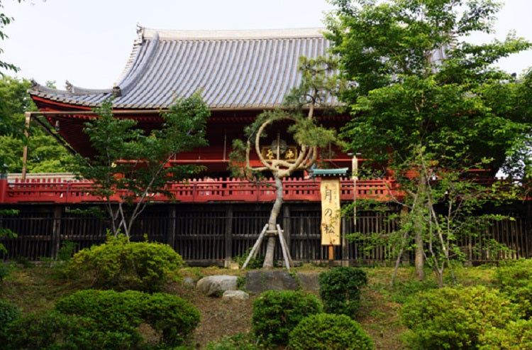 Ueno Park - Kiyomizu Kannon-dō