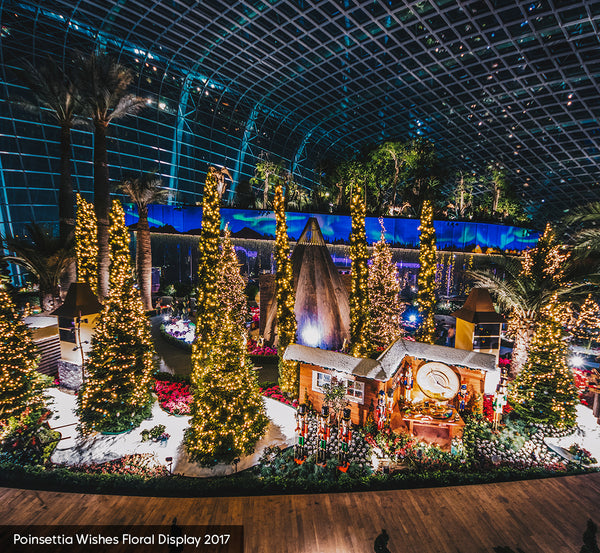 Be Awed by “Poinsettia Wishes Featuring Disney Tsum Tsum” Floral Display at Gardens by the Bay!