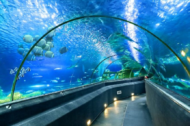 6 Short Family-Friendly Getaways from Singapore - Phu Quoc Vinpeark Aquarium
