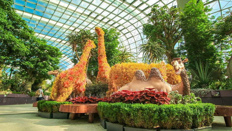 Pocket Gardens Surprise: Out of Africa at Gardens by the Bay