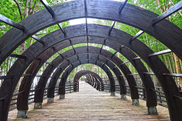 Pulau Kukup National Park