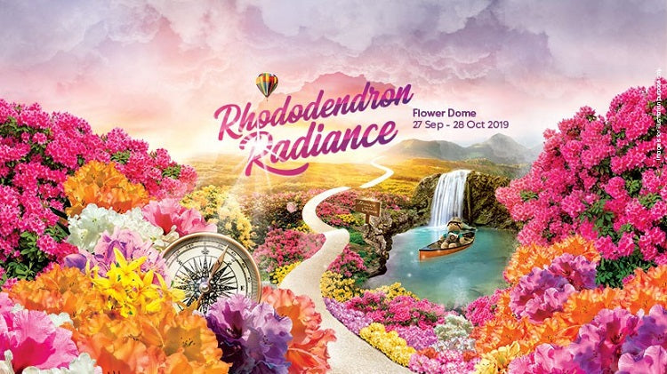 Bask in the Rhododendrons’ Radiance at Gardens by the Bay!