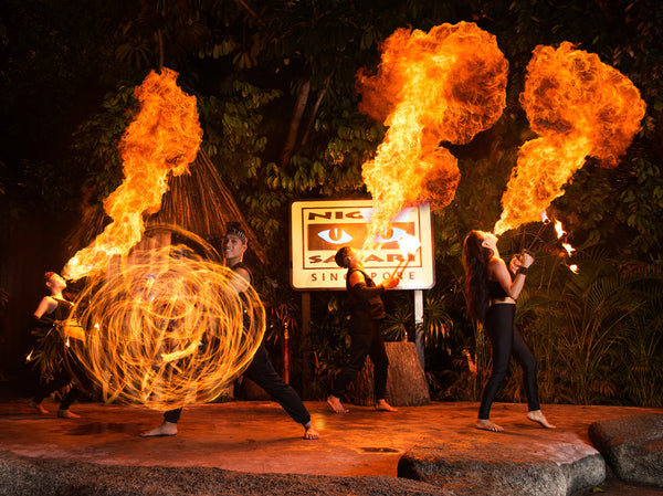 Circle of Life Festival at Singapore Zoo