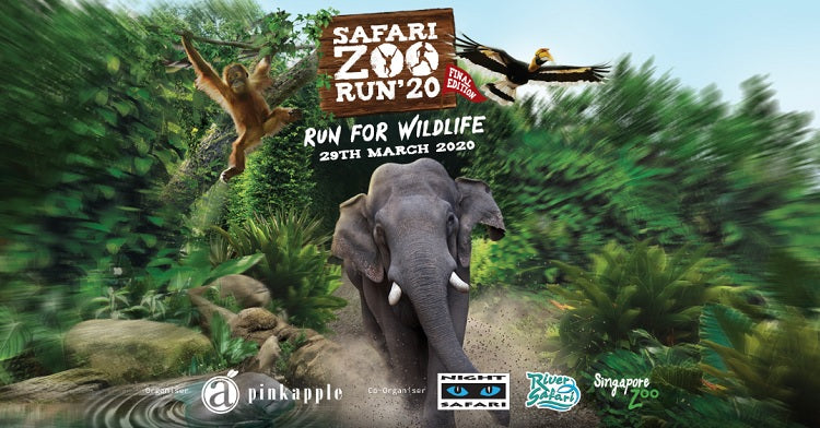 Safari Zoo Run 2020