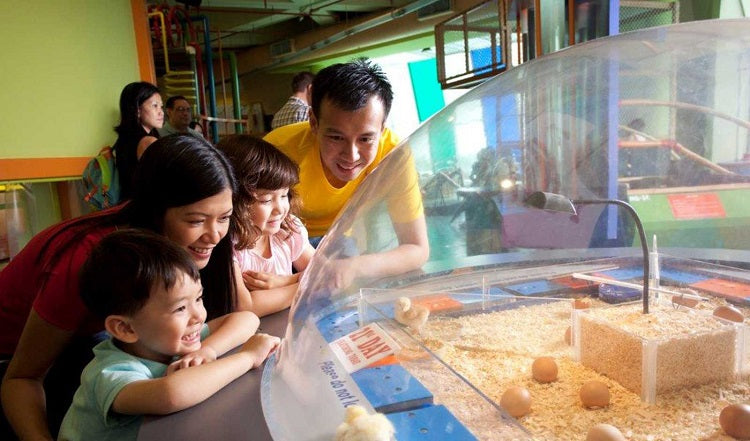 Best Value Annual Family Memberships to Own in 2020 - Science Centre Singapore