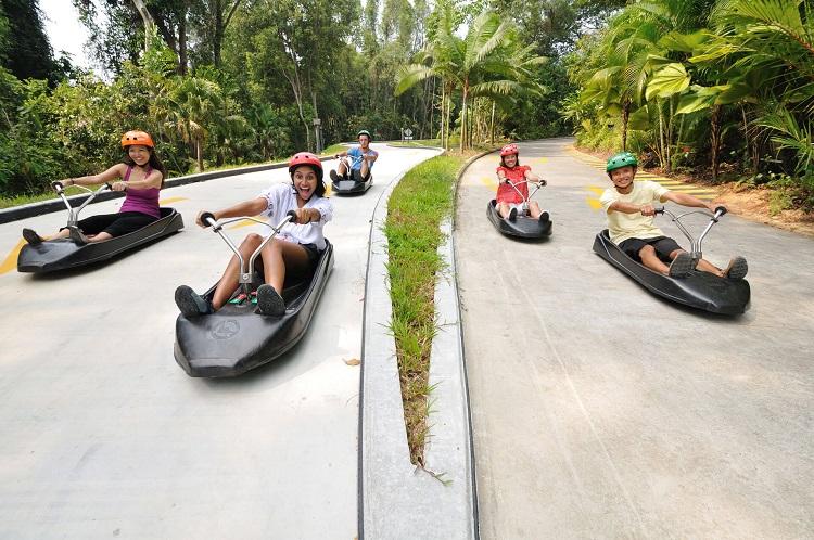 Sentosa - Skyline Luge