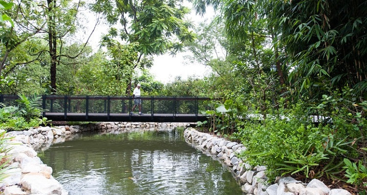 Singapore Botanic Gardens Heritage Festival 2020