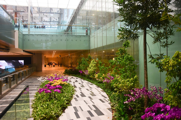 Changi Airport Terminal 3 Basement 2