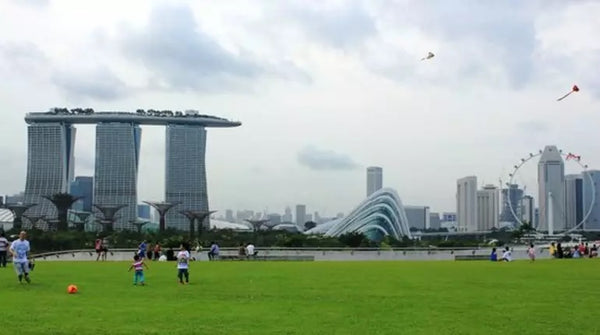 The Lawn @ Marina Bay