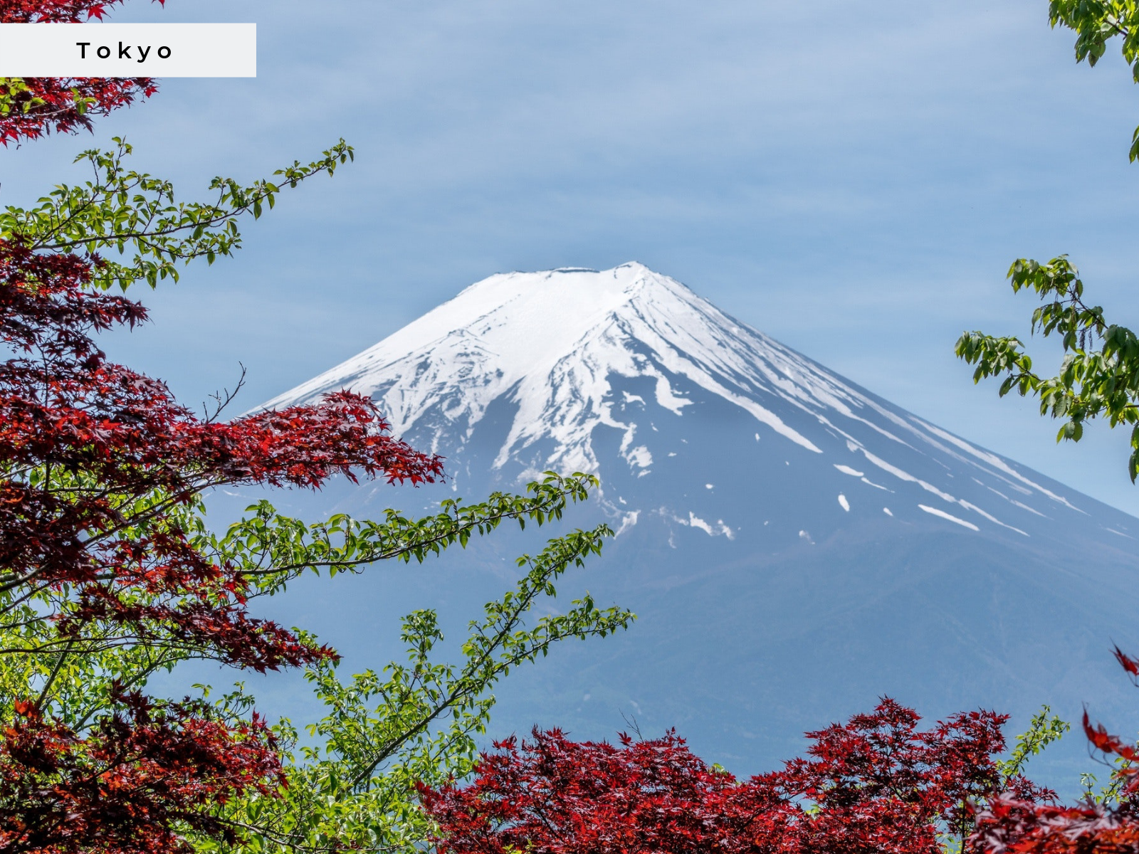 Header - Tokyo