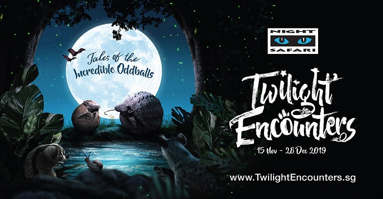 Year-End Holidays 2019 - Night Safari Twilight Encounters