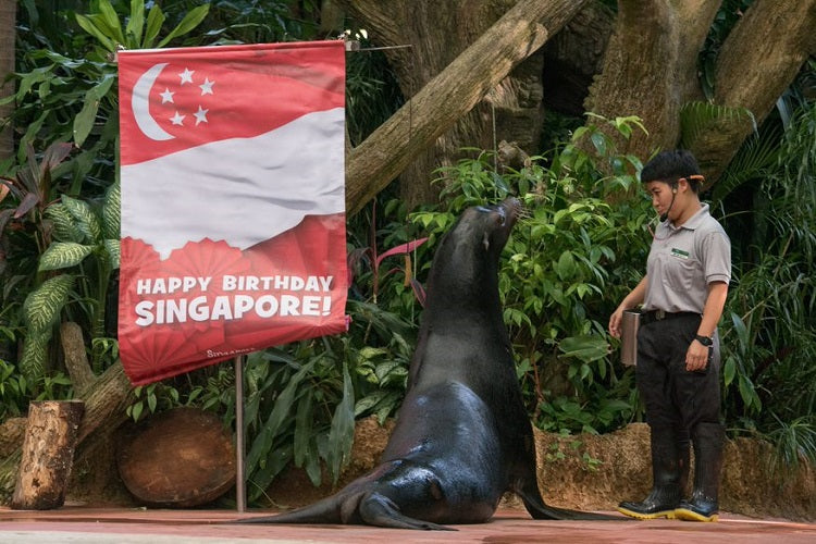 Wildlife Reserves Singapore Parks | Local Residents Exclusive National Day Promotions