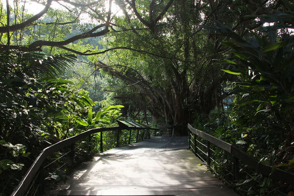 Zhishanyan Cultural and Ecological Garden