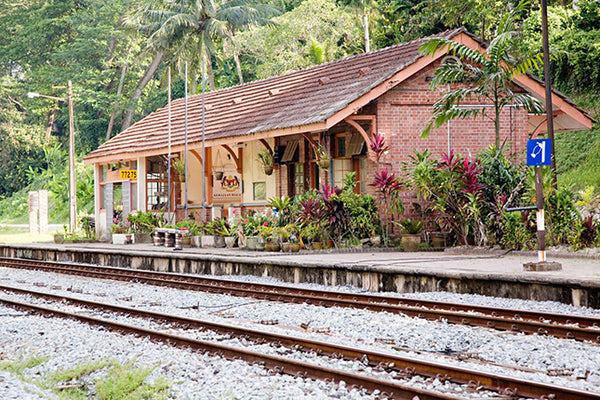 3. Bukit Timah Heritage Trail – Kampong Life Trail - Railway