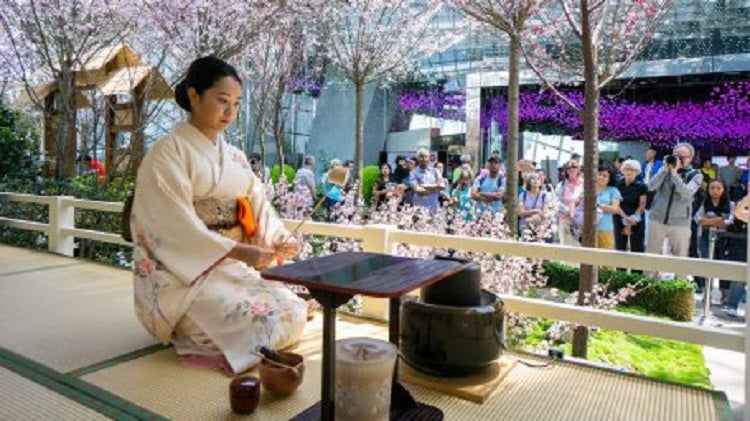 Sakura Matsuri 2020 at Gardens by the Bay