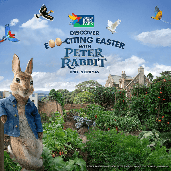 Things to do this Weekend: Visit Peter Rabbit with Your Little Ones @ Jurong Bird Park! 