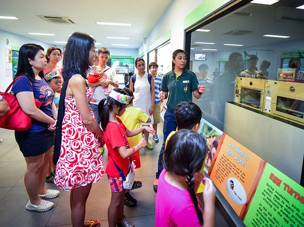 Things to do this Weekend: Visit Peter Rabbit with Your Little Ones @ Jurong Bird Park! 