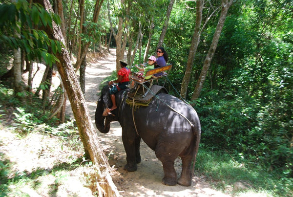 Elephant riding around Phuket, Thailand