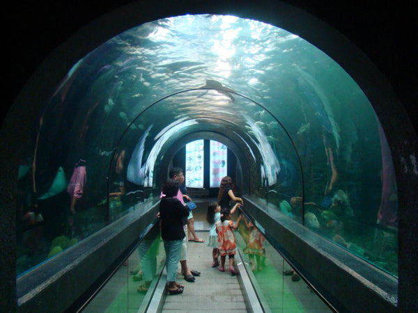 Phuket Aquarium, Phuket