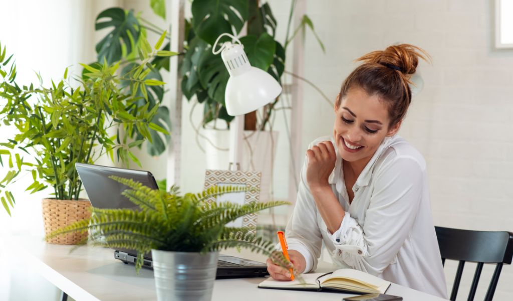 entorno de trabajo saludable - plantas en la oficina