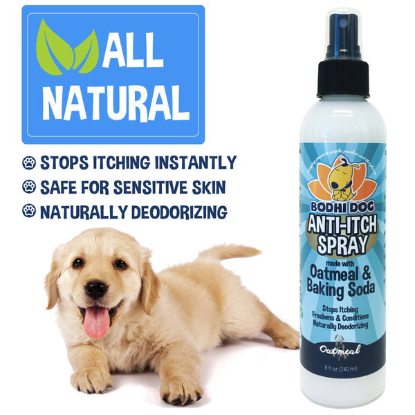 best anti itch for dogs anal area