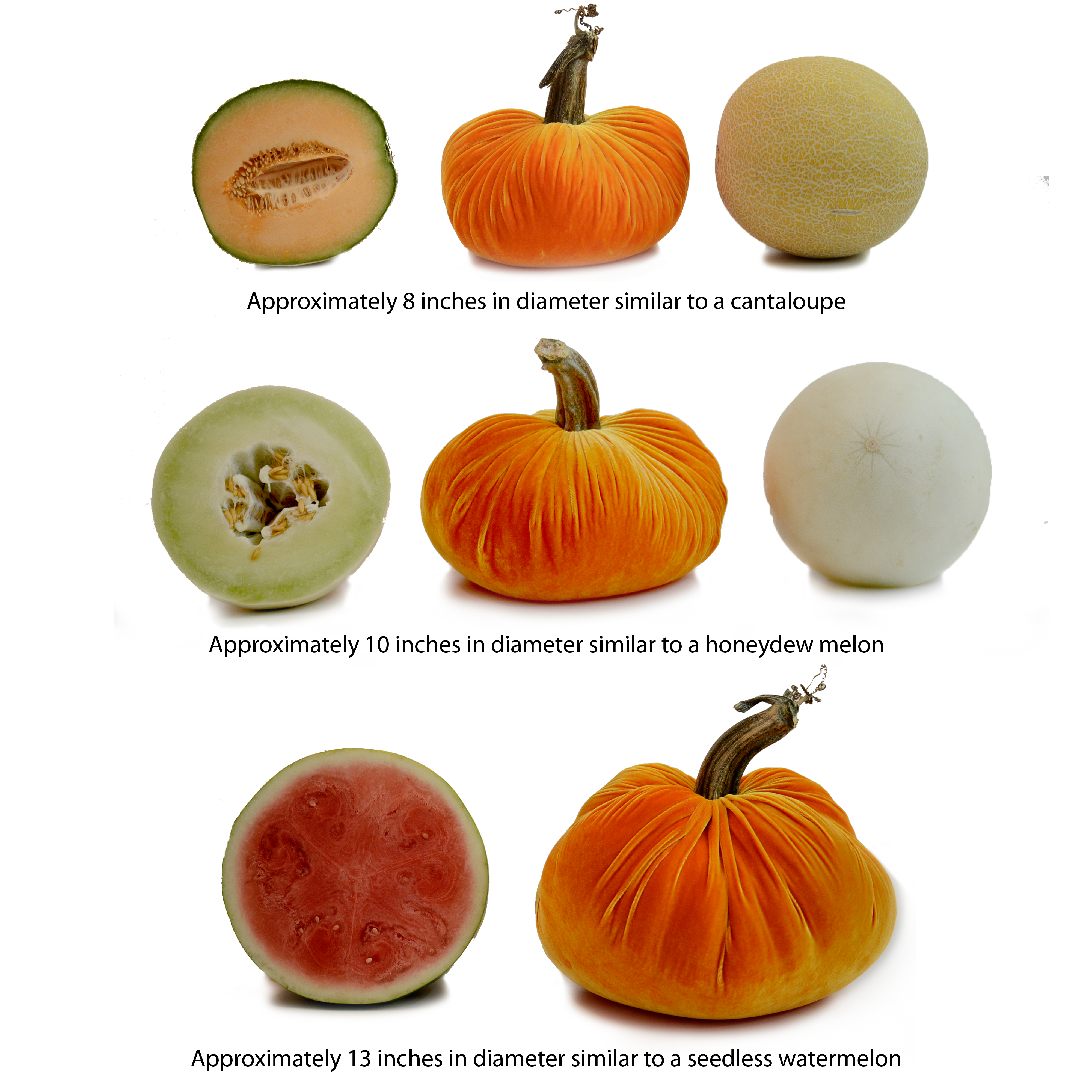 Pumpkin Patch Hat Size Chart