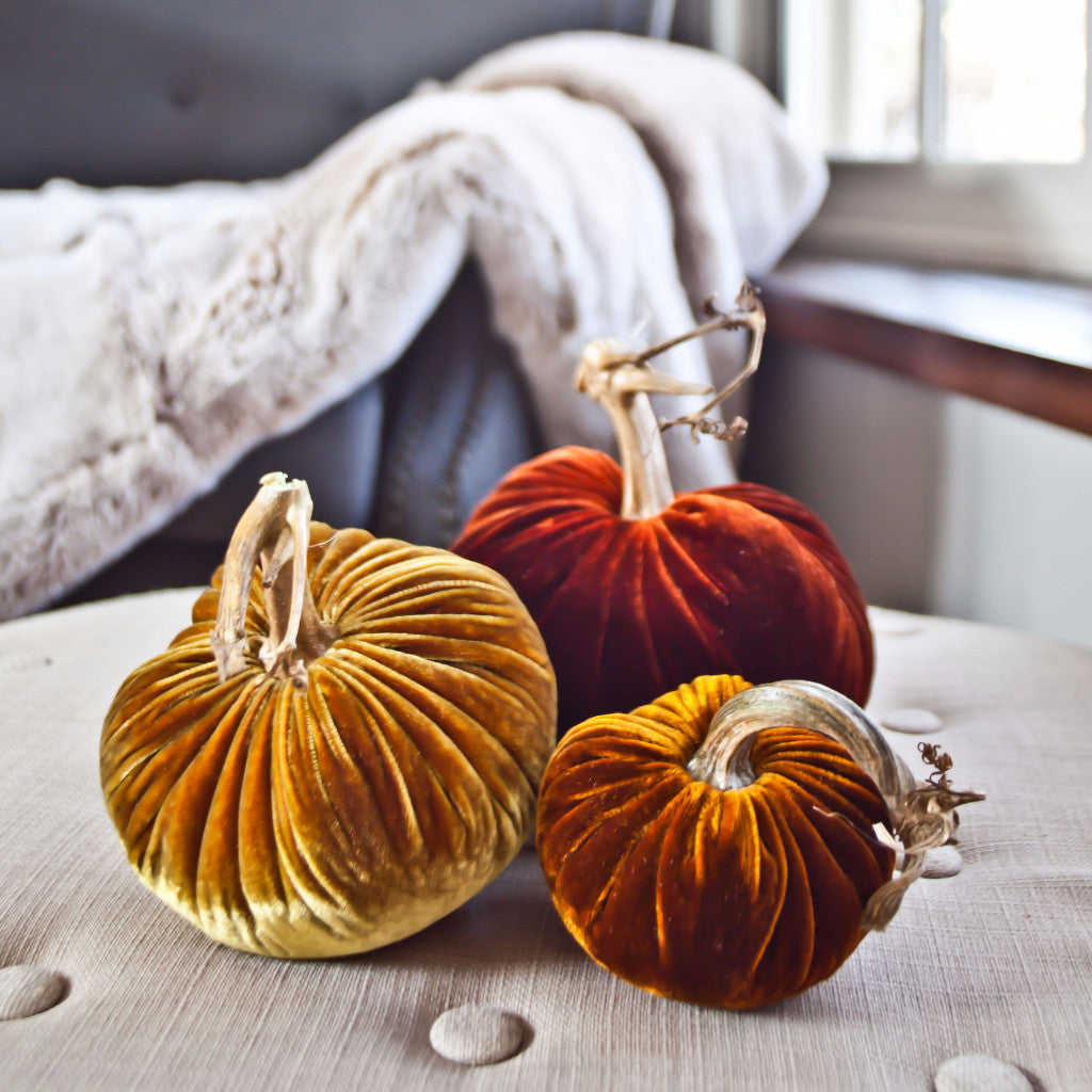 Velvet Pumpkins: Autumn Collection 