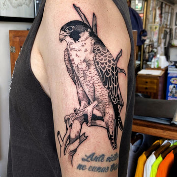 Old School Hawk on Forearm Tattoo Idea