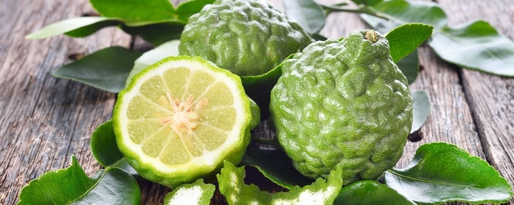 Bergamot Essential Oil for stress and anxiety
