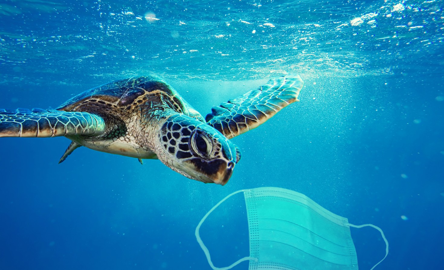 Image of disposable mask in the ocean