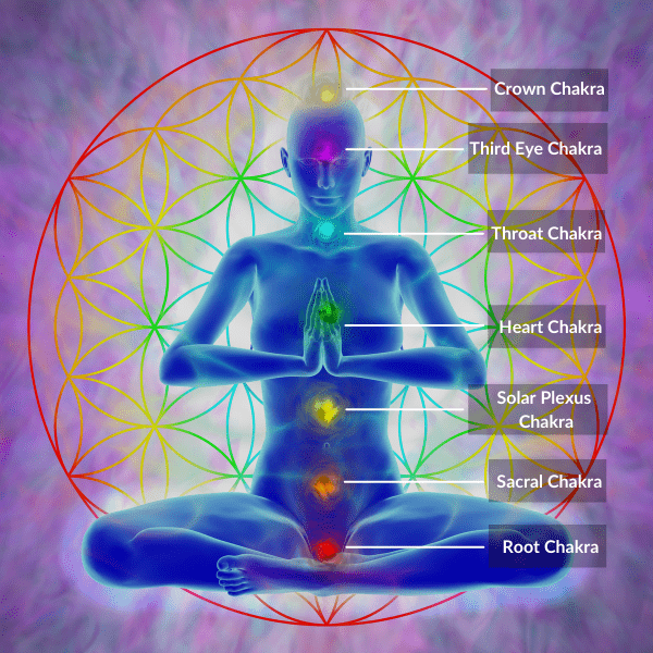 where are the 7 chakras located